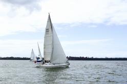 Galeria de Fotos - FOTOS - Campeonato Estadual de Vela 2024 - CLASSE OCEANO
