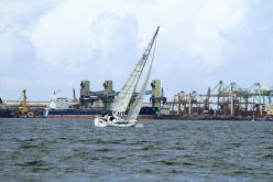 Galeria de Fotos - FOTOS - Campeonato Estadual de Vela 2024 - CLASSE OCEANO