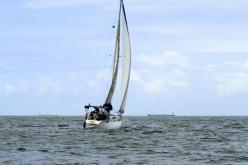 Galeria de Fotos - FOTOS - Campeonato Estadual de Vela 2024 - CLASSE OCEANO
