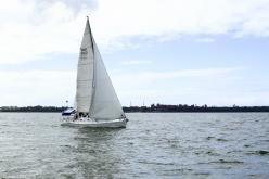Galeria de Fotos - FOTOS - Campeonato Estadual de Vela 2024 - CLASSE OCEANO
