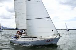 Galeria de Fotos - FOTOS - Campeonato Estadual de Vela 2024 - CLASSE OCEANO