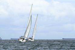 Galeria de Fotos - FOTOS - Campeonato Estadual de Vela 2024 - CLASSE OCEANO