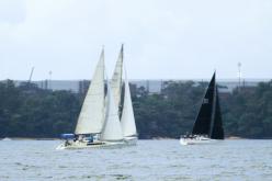 Galeria de Fotos - FOTOS - Campeonato Estadual de Vela 2024 - CLASSE OCEANO