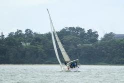 Galeria de Fotos - FOTOS - Campeonato Estadual de Vela 2024 - CLASSE OCEANO