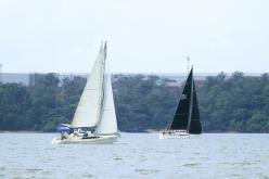 Galeria de Fotos - FOTOS - Campeonato Estadual de Vela 2024 - CLASSE OCEANO