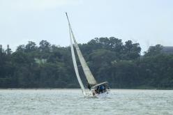Galeria de Fotos - FOTOS - Campeonato Estadual de Vela 2024 - CLASSE OCEANO