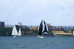 Galeria de Fotos - FOTOS - Campeonato Estadual de Vela 2024 - CLASSE OCEANO