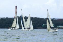Galeria de Fotos - FOTOS - Campeonato Estadual de Vela 2024 - CLASSE OCEANO