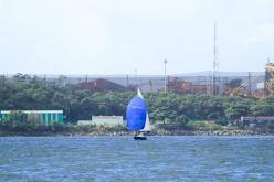 Galeria de Fotos - FOTOS - Campeonato Estadual de Vela 2024 - CLASSE OCEANO