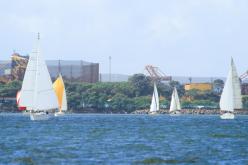Galeria de Fotos - FOTOS - Campeonato Estadual de Vela 2024 - CLASSE OCEANO