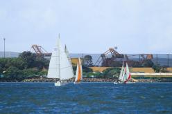 Galeria de Fotos - FOTOS - Campeonato Estadual de Vela 2024 - CLASSE OCEANO