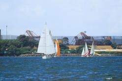 Galeria de Fotos - FOTOS - Campeonato Estadual de Vela 2024 - CLASSE OCEANO