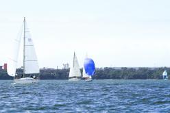 Galeria de Fotos - FOTOS - Campeonato Estadual de Vela 2024 - CLASSE OCEANO