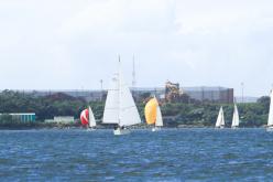 Galeria de Fotos - FOTOS - Campeonato Estadual de Vela 2024 - CLASSE OCEANO