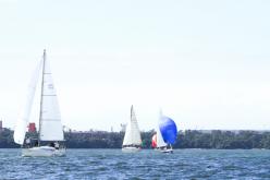 Galeria de Fotos - FOTOS - Campeonato Estadual de Vela 2024 - CLASSE OCEANO