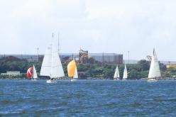 Galeria de Fotos - FOTOS - Campeonato Estadual de Vela 2024 - CLASSE OCEANO