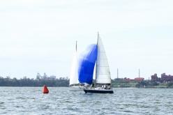 Galeria de Fotos - FOTOS - Campeonato Estadual de Vela 2024 - CLASSE OCEANO