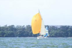 Galeria de Fotos - FOTOS - Campeonato Estadual de Vela 2024 - CLASSE OCEANO