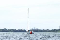 Galeria de Fotos - FOTOS - Campeonato Estadual de Vela 2024 - CLASSE OCEANO