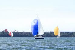 Galeria de Fotos - FOTOS - Campeonato Estadual de Vela 2024 - CLASSE OCEANO
