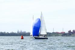 Galeria de Fotos - FOTOS - Campeonato Estadual de Vela 2024 - CLASSE OCEANO