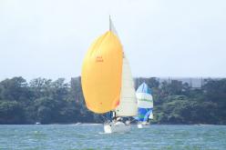 Galeria de Fotos - FOTOS - Campeonato Estadual de Vela 2024 - CLASSE OCEANO
