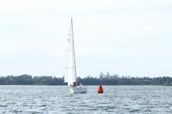Galeria de Fotos - FOTOS - Campeonato Estadual de Vela 2024 - CLASSE OCEANO