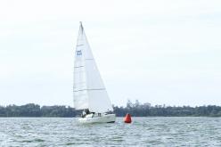 Galeria de Fotos - FOTOS - Campeonato Estadual de Vela 2024 - CLASSE OCEANO