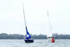 Galeria de Fotos - FOTOS - Campeonato Estadual de Vela 2024 - CLASSE OCEANO