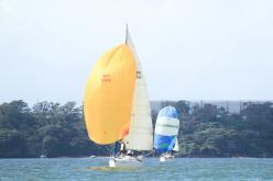 Galeria de Fotos - FOTOS - Campeonato Estadual de Vela 2024 - CLASSE OCEANO