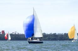 Galeria de Fotos - FOTOS - Campeonato Estadual de Vela 2024 - CLASSE OCEANO