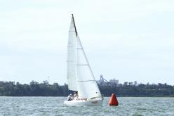 Galeria de Fotos - FOTOS - Campeonato Estadual de Vela 2024 - CLASSE OCEANO
