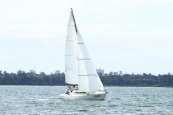 Galeria de Fotos - FOTOS - Campeonato Estadual de Vela 2024 - CLASSE OCEANO