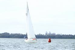 Galeria de Fotos - FOTOS - Campeonato Estadual de Vela 2024 - CLASSE OCEANO