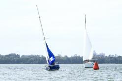 Galeria de Fotos - FOTOS - Campeonato Estadual de Vela 2024 - CLASSE OCEANO