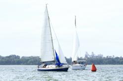 Galeria de Fotos - FOTOS - Campeonato Estadual de Vela 2024 - CLASSE OCEANO