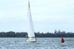 Galeria de Fotos - FOTOS - Campeonato Estadual de Vela 2024 - CLASSE OCEANO