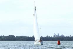 Galeria de Fotos - FOTOS - Campeonato Estadual de Vela 2024 - CLASSE OCEANO