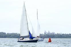 Galeria de Fotos - FOTOS - Campeonato Estadual de Vela 2024 - CLASSE OCEANO