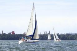 Galeria de Fotos - FOTOS - Campeonato Estadual de Vela 2024 - CLASSE OCEANO