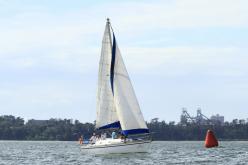 Galeria de Fotos - FOTOS - Campeonato Estadual de Vela 2024 - CLASSE OCEANO