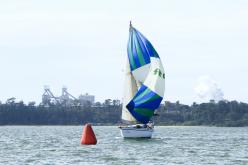 Galeria de Fotos - FOTOS - Campeonato Estadual de Vela 2024 - CLASSE OCEANO