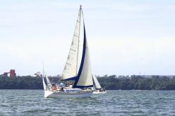 Galeria de Fotos - FOTOS - Campeonato Estadual de Vela 2024 - CLASSE OCEANO