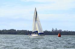 Galeria de Fotos - FOTOS - Campeonato Estadual de Vela 2024 - CLASSE OCEANO
