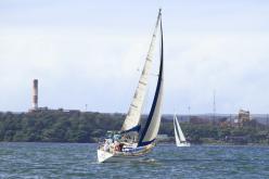 Galeria de Fotos - FOTOS - Campeonato Estadual de Vela 2024 - CLASSE OCEANO