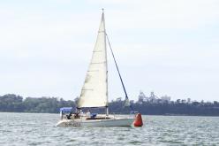 Galeria de Fotos - FOTOS - Campeonato Estadual de Vela 2024 - CLASSE OCEANO