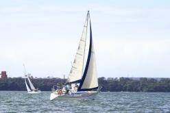 Galeria de Fotos - FOTOS - Campeonato Estadual de Vela 2024 - CLASSE OCEANO