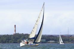 Galeria de Fotos - FOTOS - Campeonato Estadual de Vela 2024 - CLASSE OCEANO