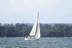 Galeria de Fotos - FOTOS - Campeonato Estadual de Vela 2024 - CLASSE OCEANO