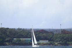 Galeria de Fotos - FOTOS - Campeonato Estadual de Vela 2024 - CLASSE OCEANO